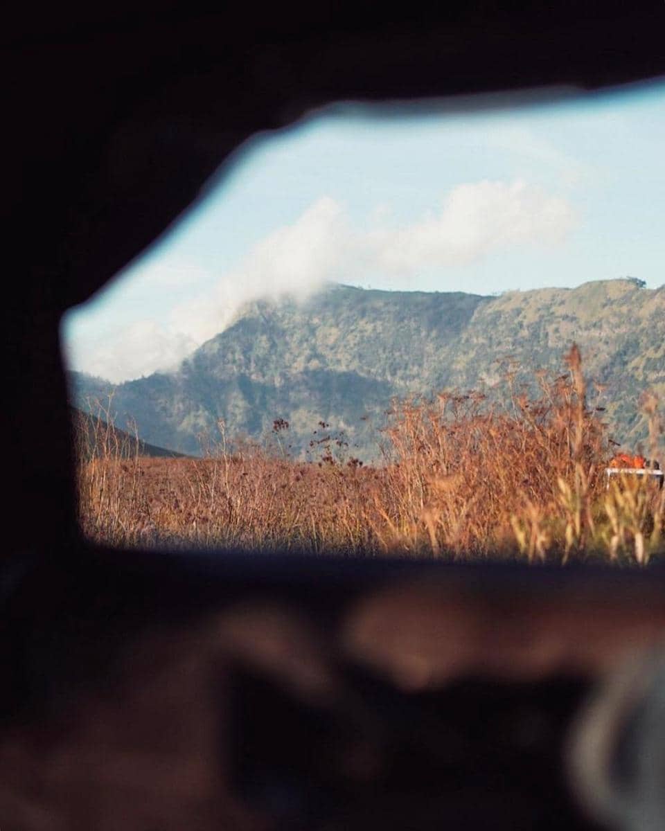 instagram.com/putrimarino