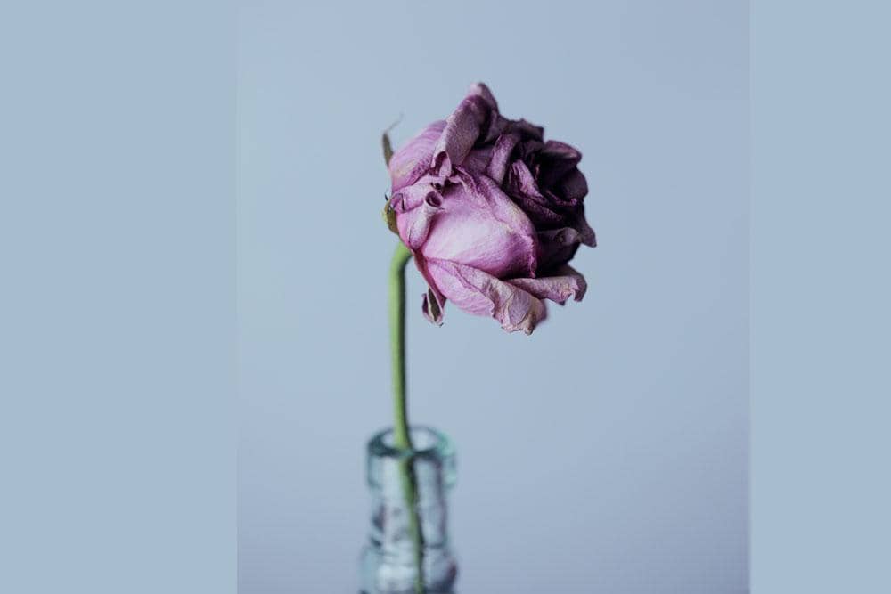 Unsplash.com/Sharon McCutcheon