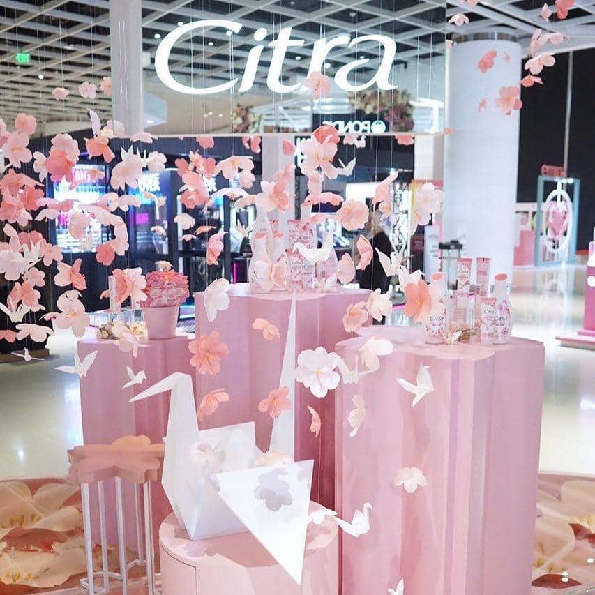 instagram.com/cantikcitra