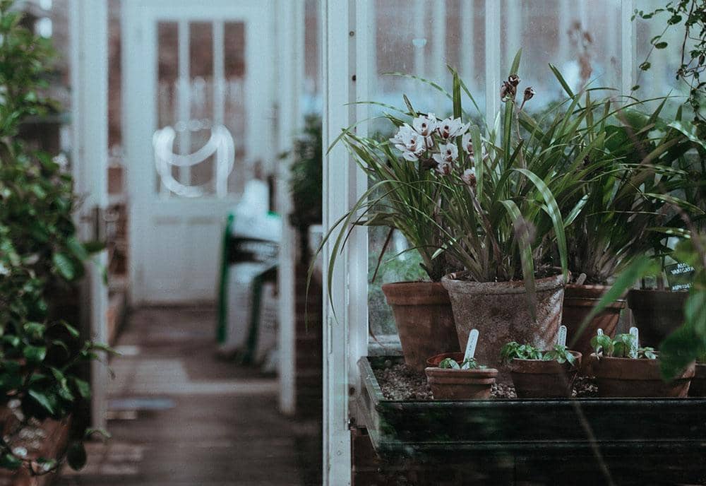 unsplash.com/Annie Spratt