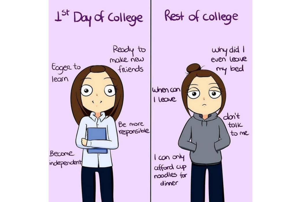 instagram.com/comicsbysof