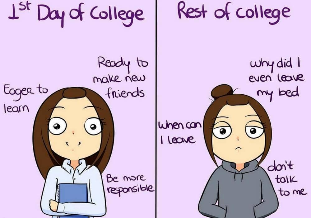 instagram.com/comicsbysof