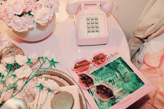 pinterest.com/WILDFOX