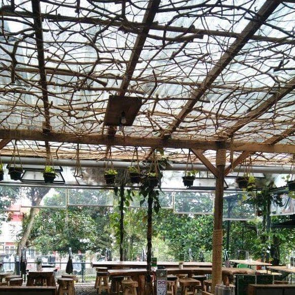 Instagram.com/forest_cfc