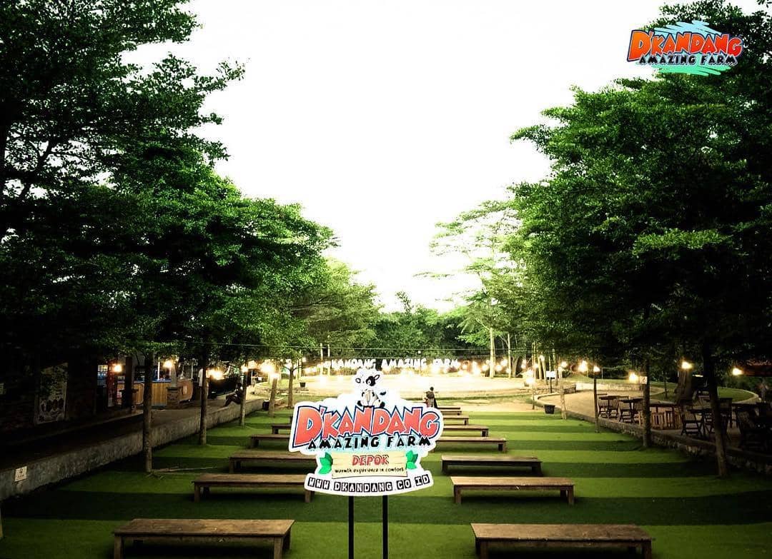 Instagram.com/dkandang