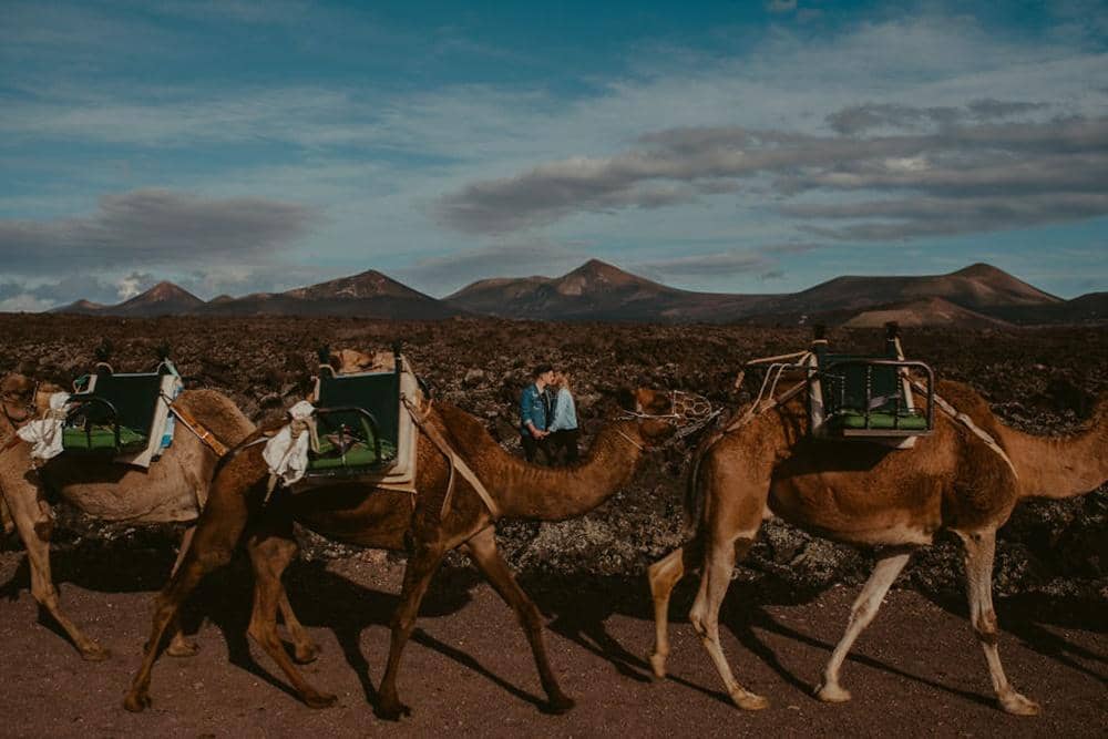 Boredpanda.com/Dallas and Sabrina