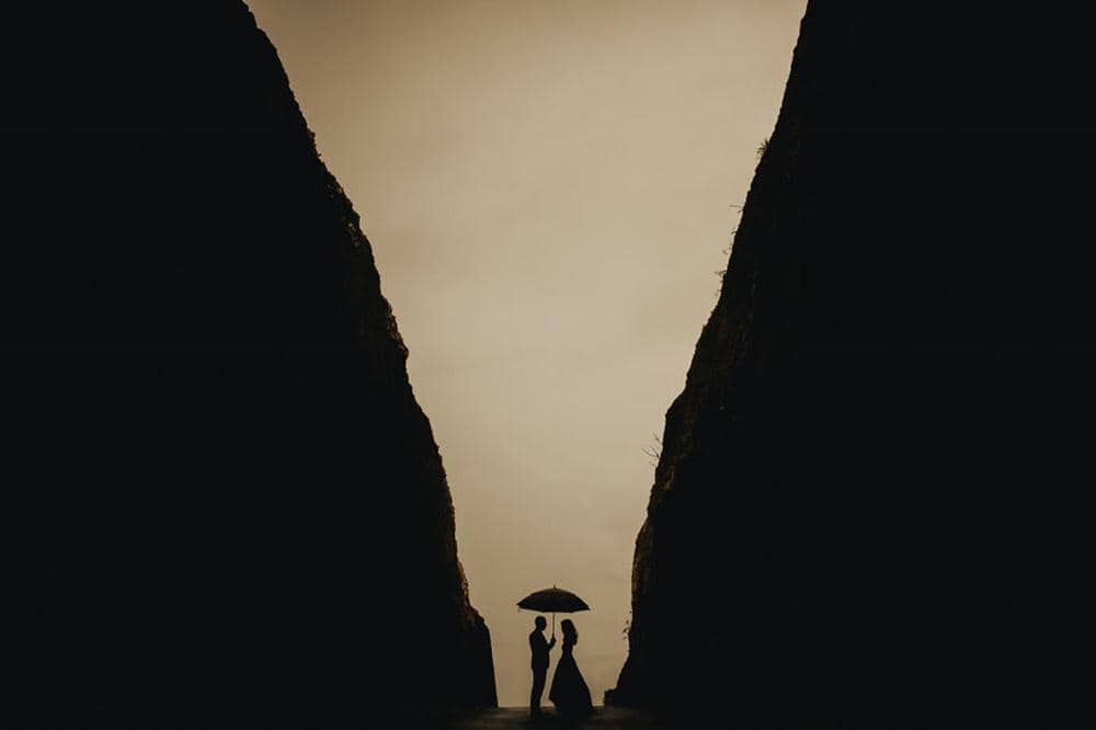 Boredpanda.com/Terralogical