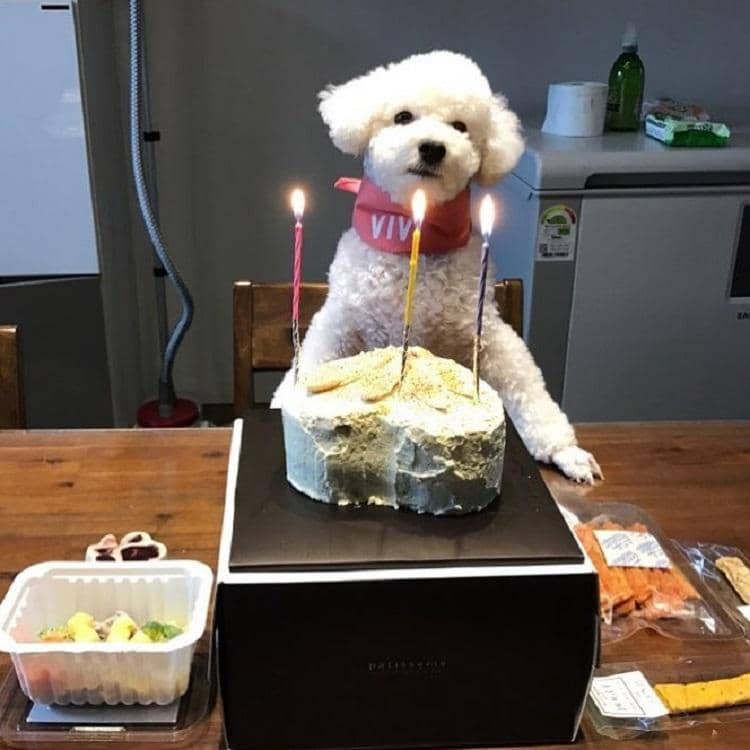 Instagram.com/oohsehun