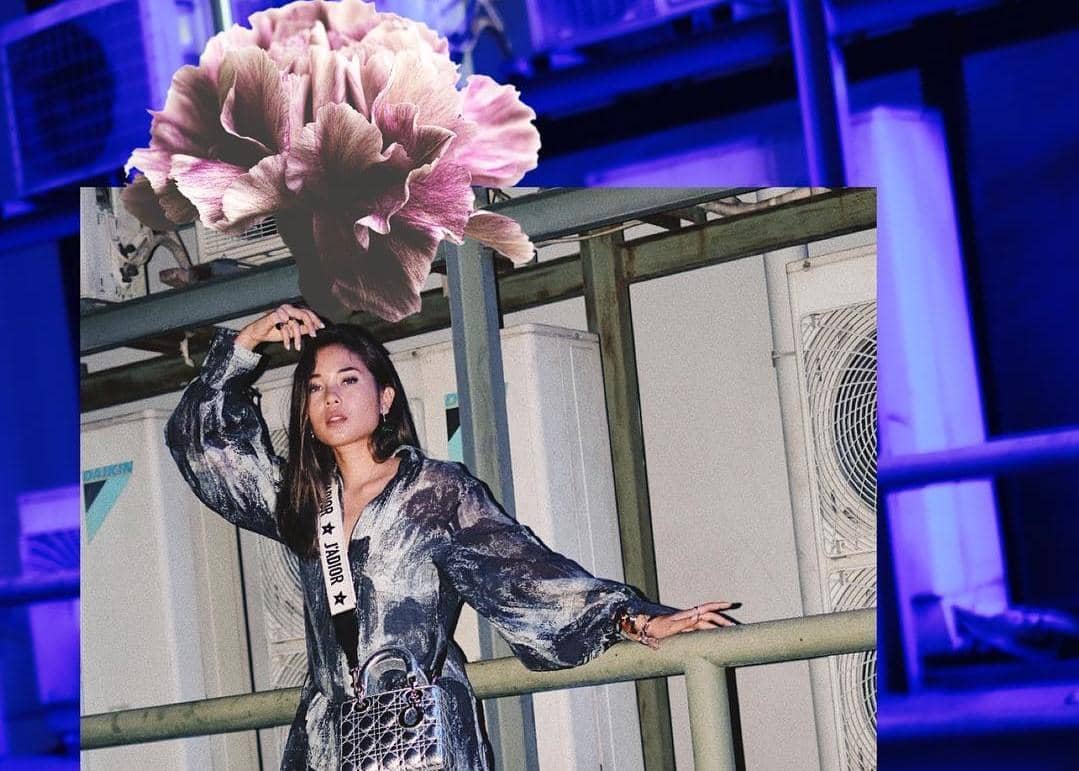 Instagram.com/ayladimitri