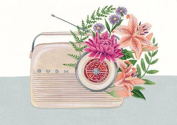 behance.net/project_modules