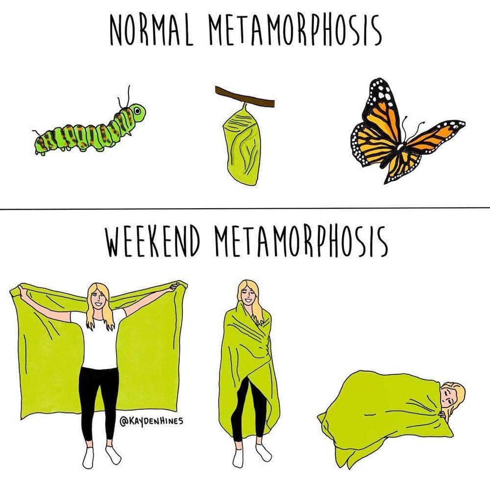 Instagram.com/kaydenhines