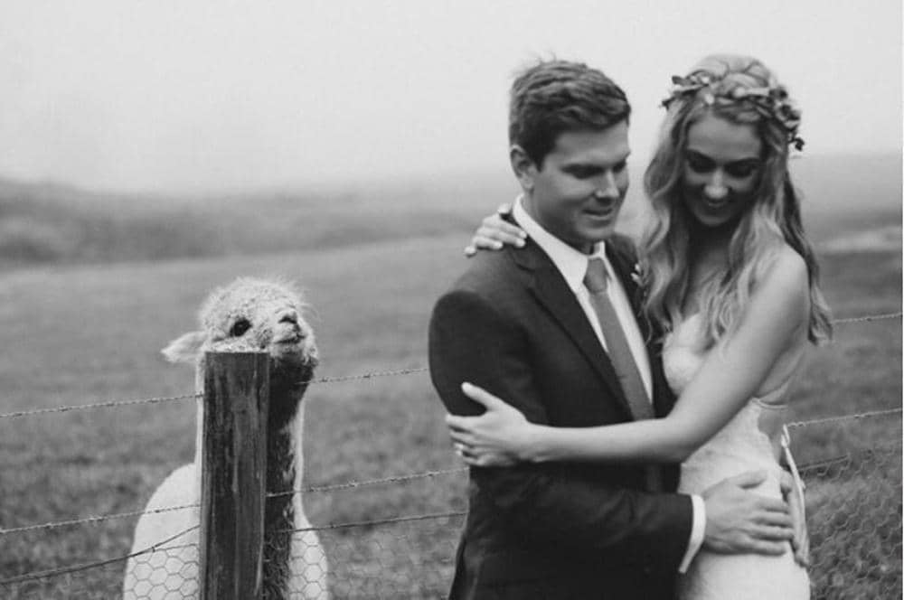 Instagram.com/mintweddingsbe