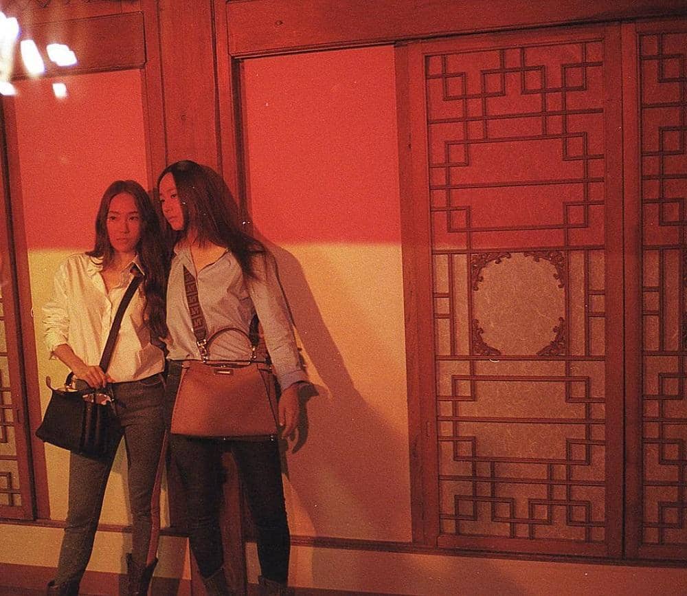 Instagram.com/fisforfendi