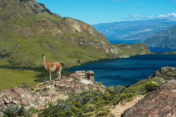 patagoniapark.org