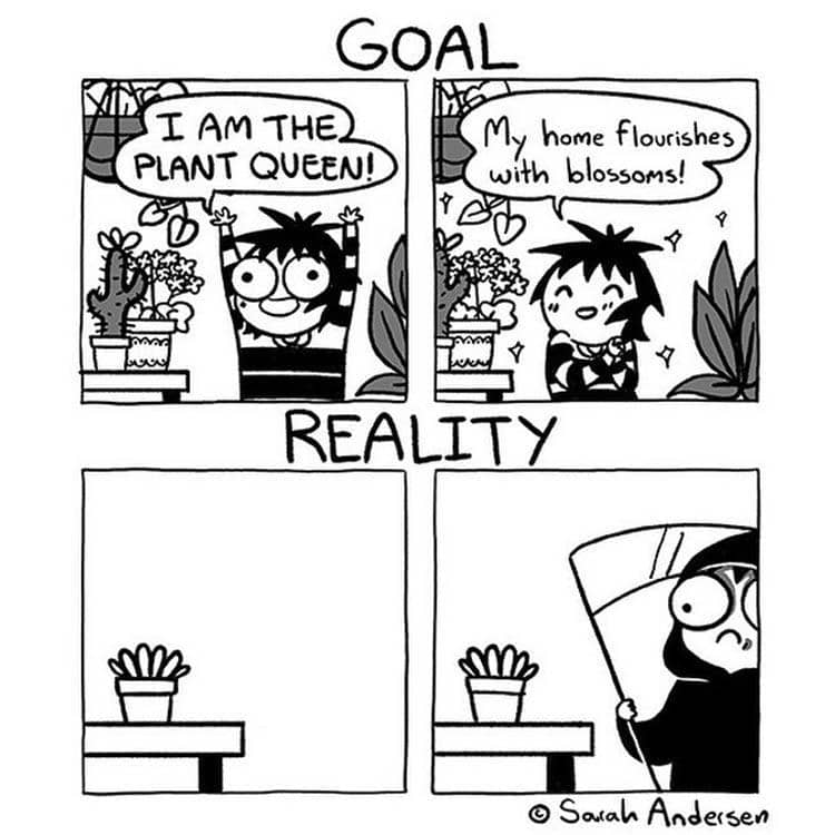 Instagram.com/sarahandersencomics