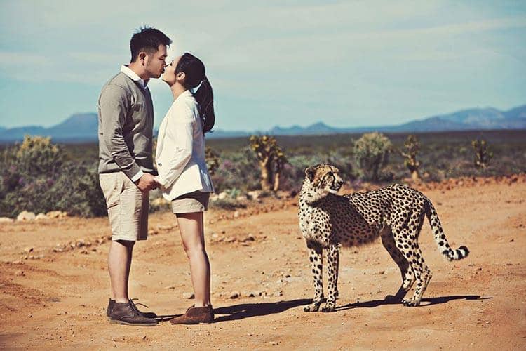 Theweddingnotebook.com/Axioo