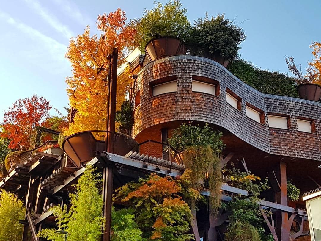 Instagram.com/emmanuel_pellegrino