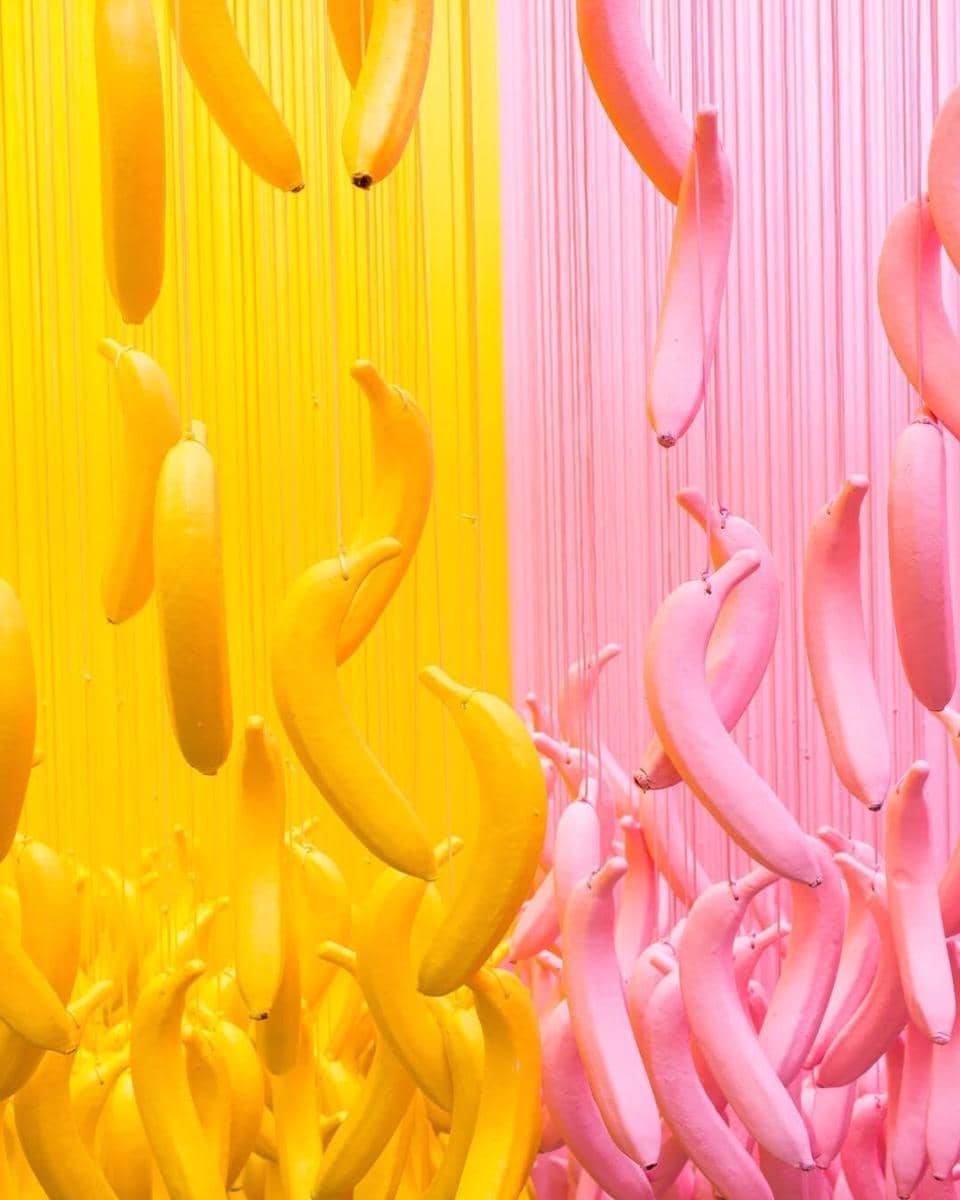 Instagram.com/museumoficecream