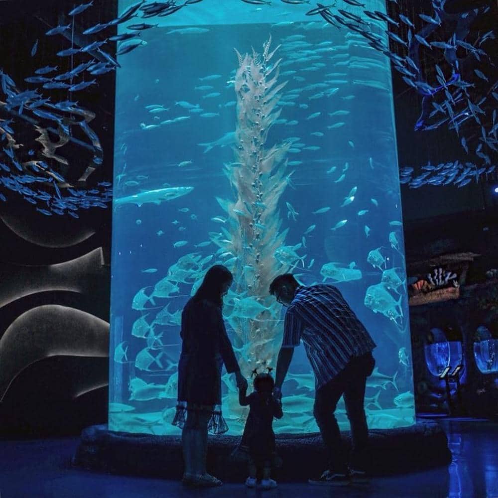 Instagram.com/jakartaaquarium