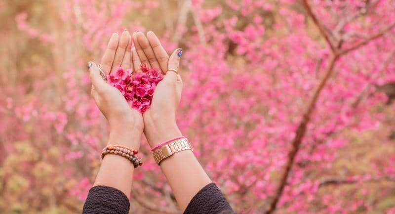 Shutterstock.com/sandsandee