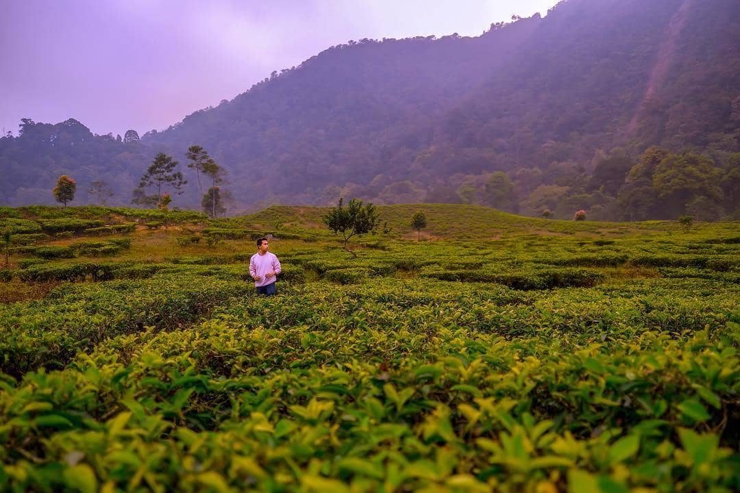 Instagram.com/radenrauf