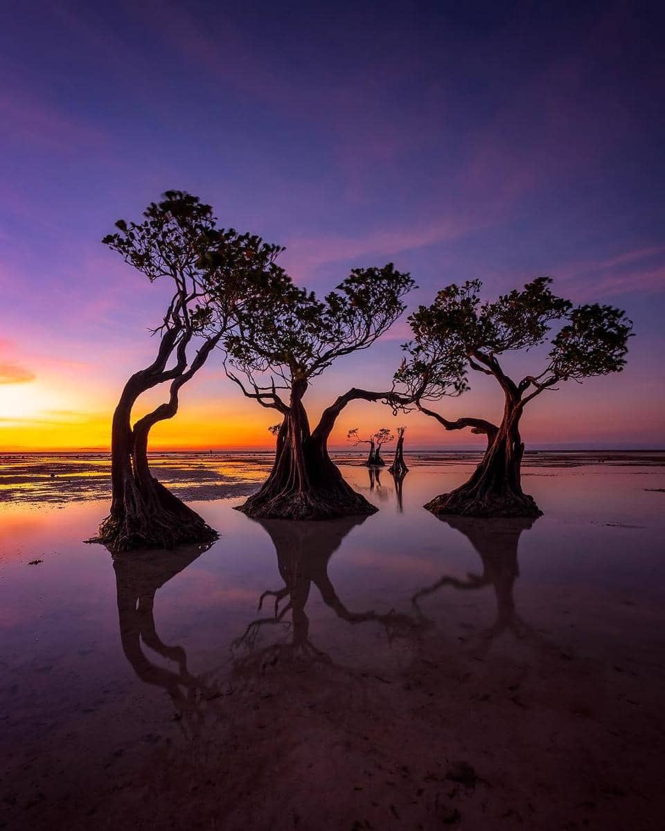 Instagram.com/radenrauf