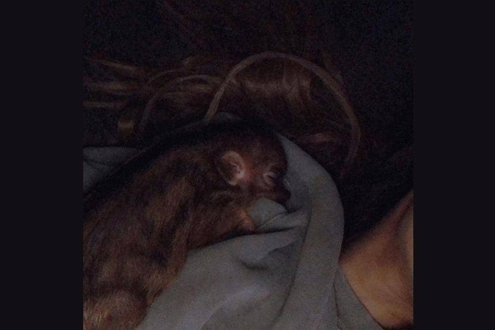 Instagram.com/arianagrande