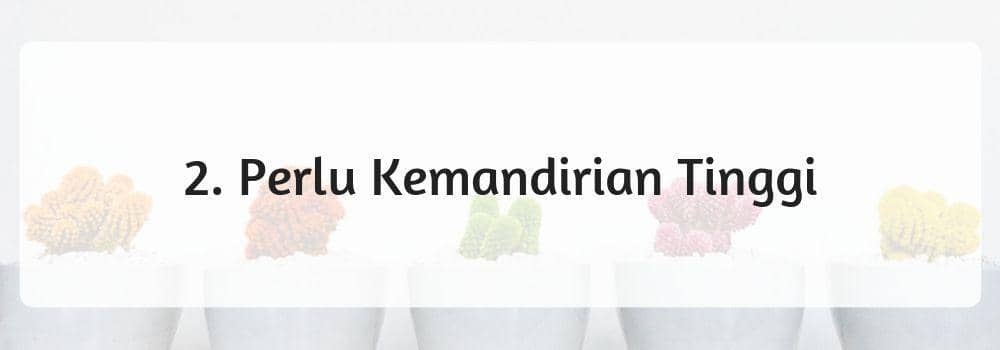 Pexels.com/Scott Webb