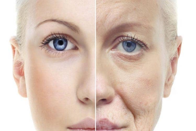 metrohospitalfaridabad.com