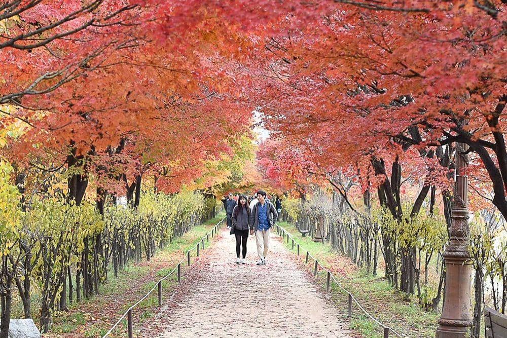 Instagram.com/seoul_official