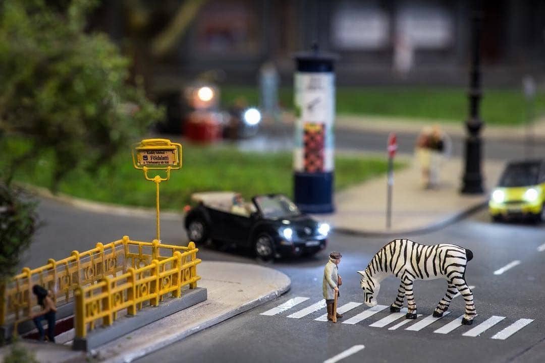 Instagram.com/tinywasteland