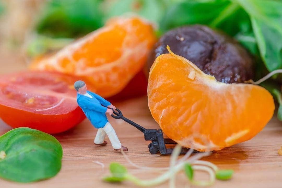 instagram.com/tinywasteland