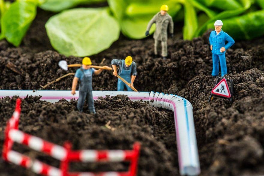 instagram.com/tinywasteland