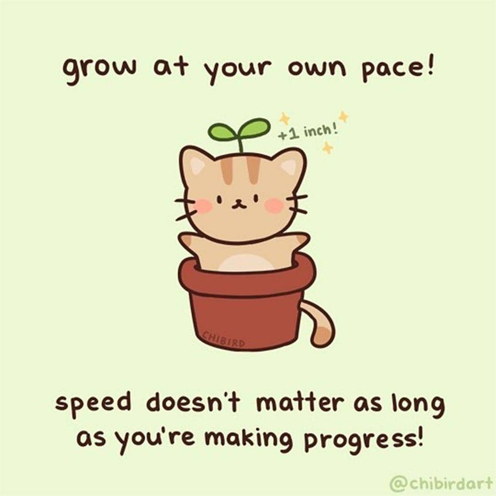 Instagram.com/chibirdart