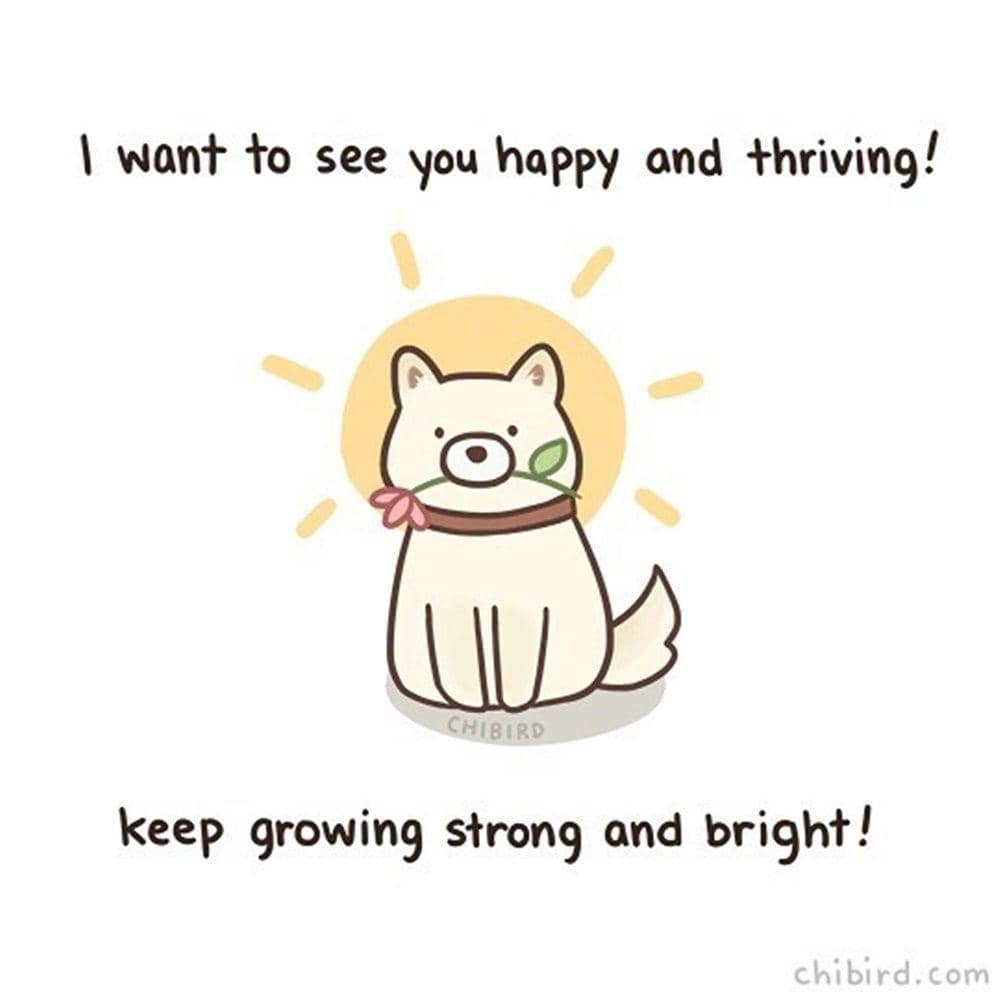 Instagram.com/chibirdart