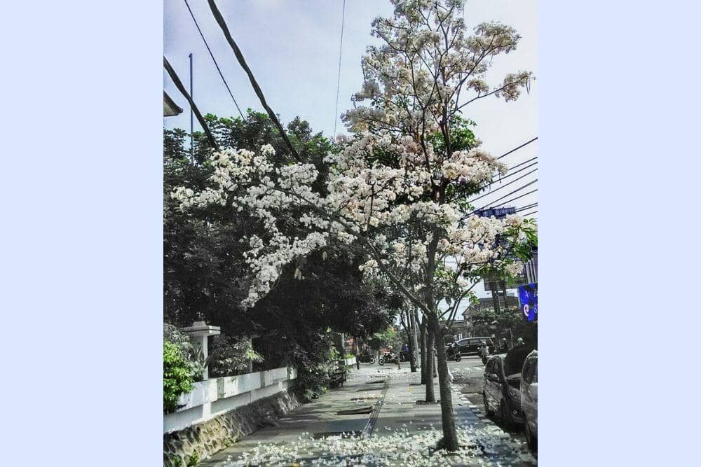 instagram.com/rudy.lewuk