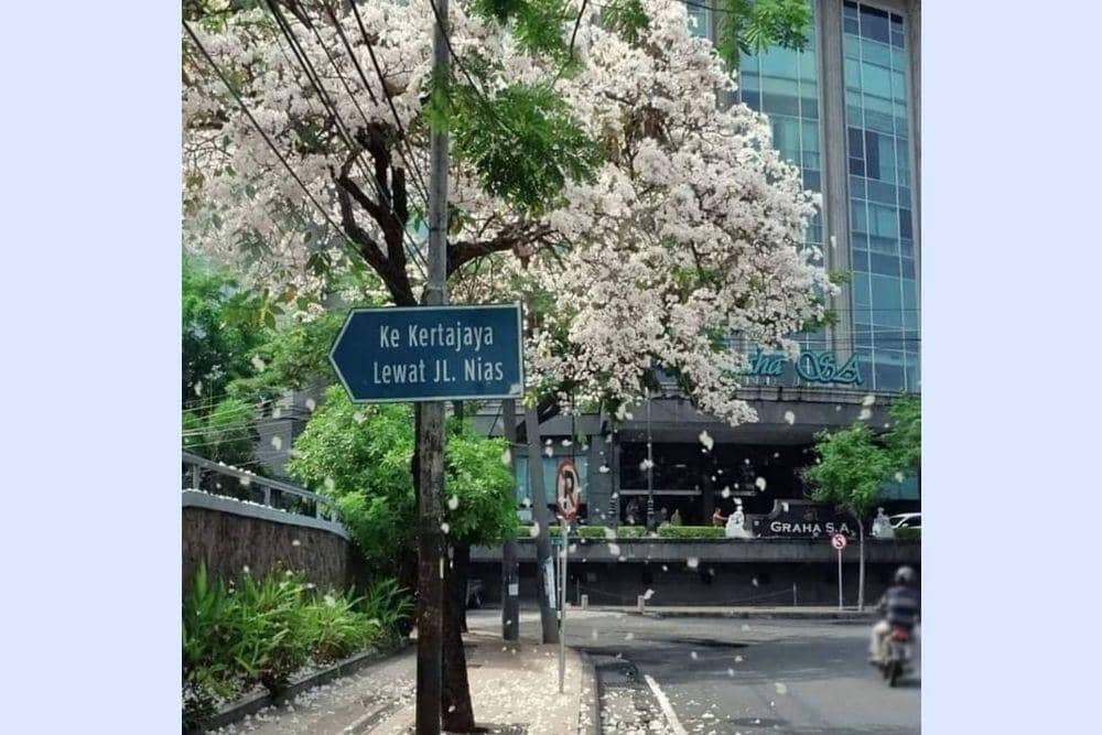 instagram.com/cintamurti