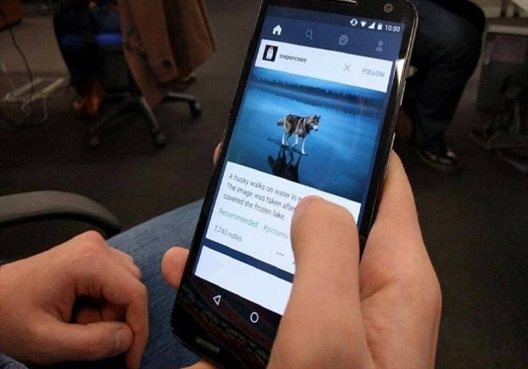 lowdown.carphonewarehouse.com