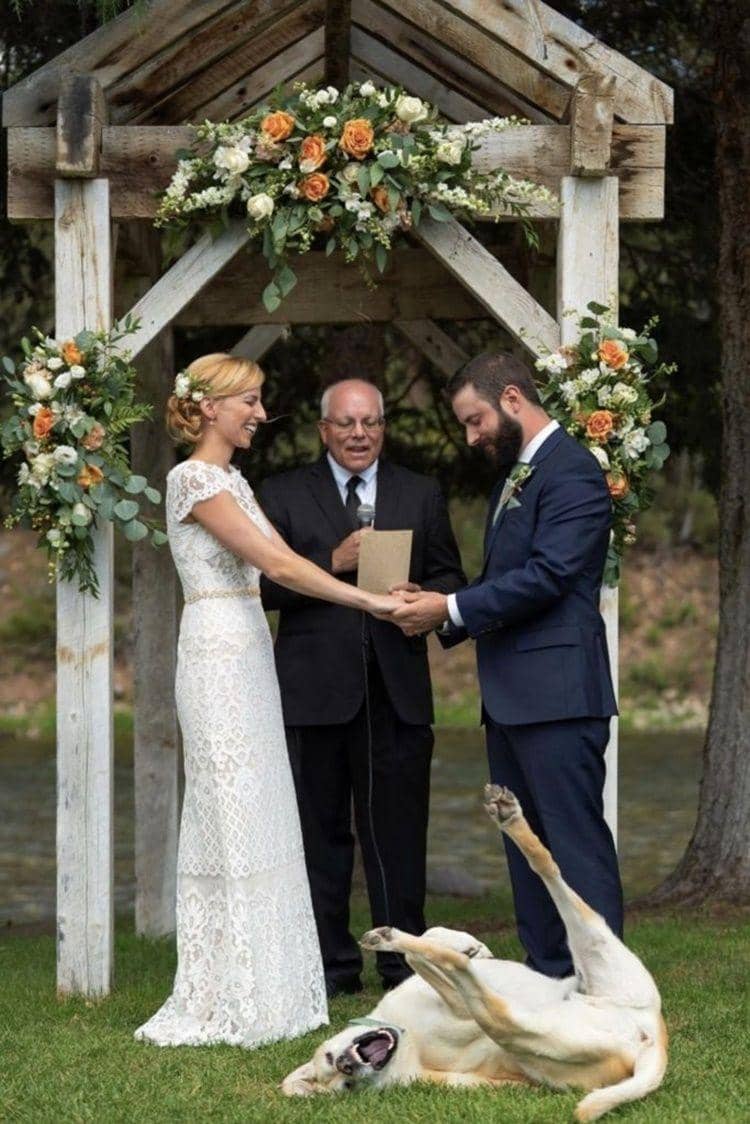 awkwardfamilyphotos.com, reddit.com