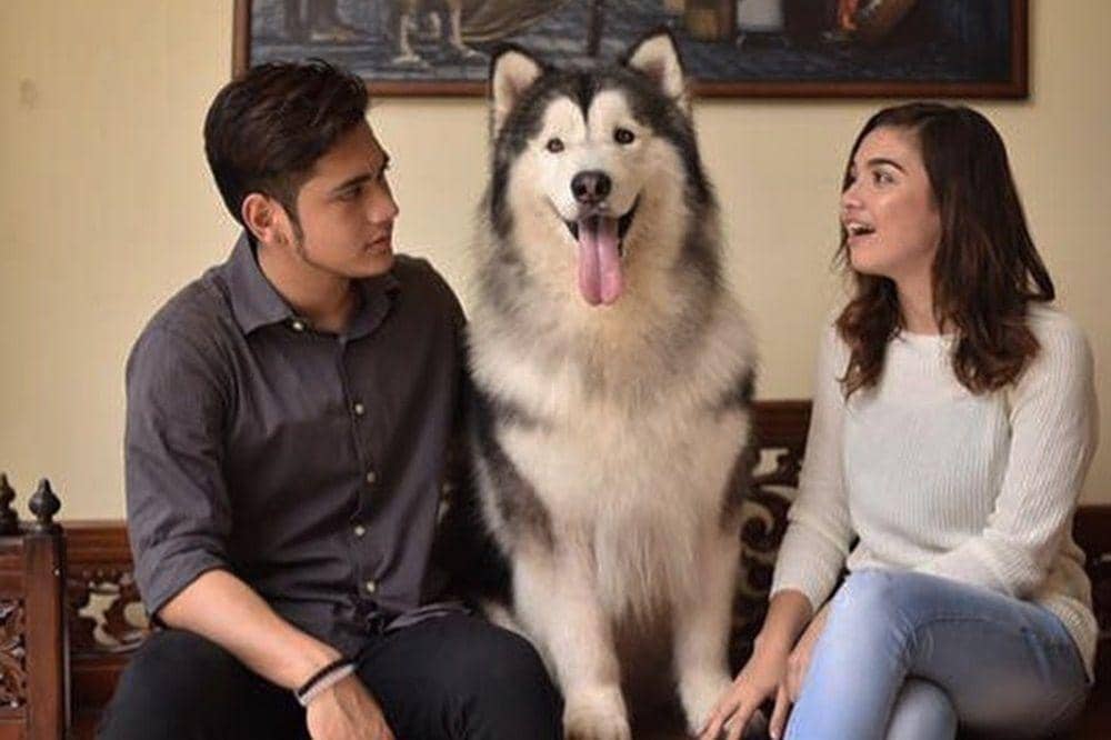 Instagram.com/giorgino_abraham