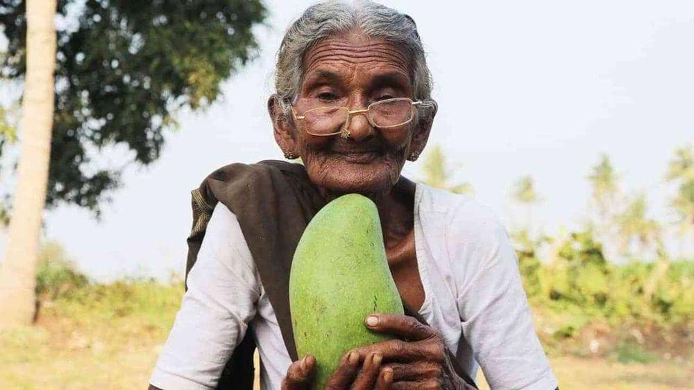 YouTube.com/Country Foods