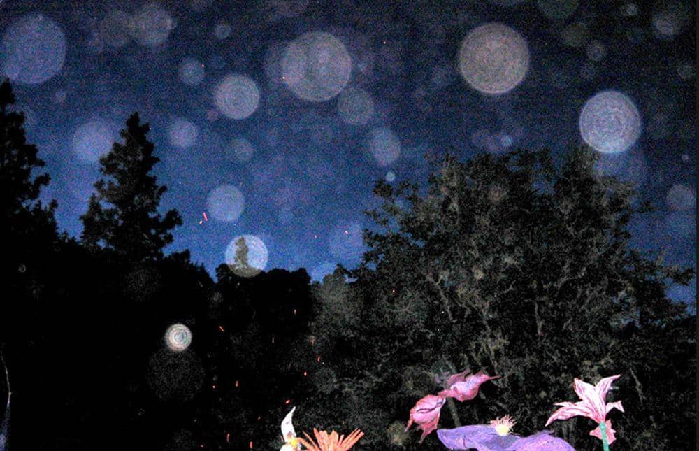 dreamcatcherreality.com