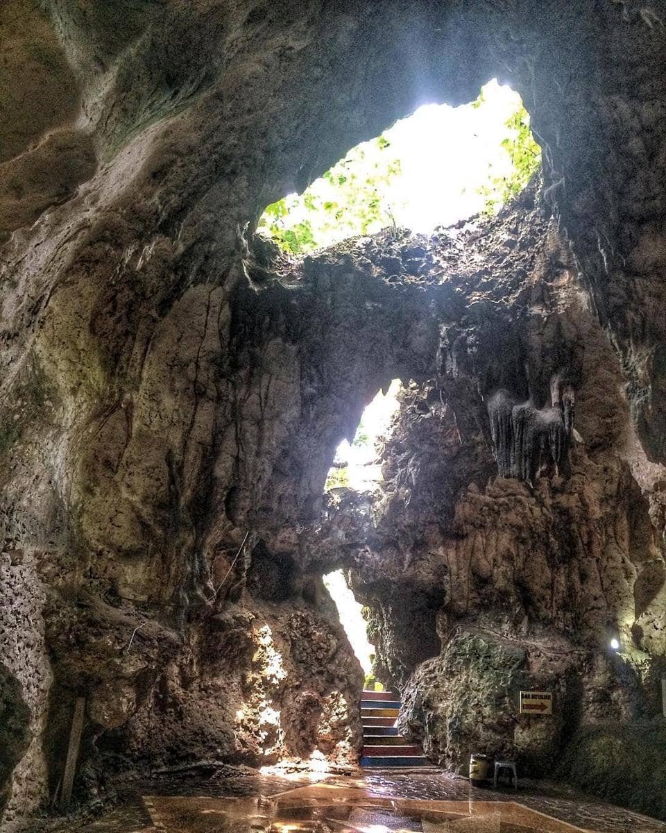 instagram.com/shaelahani