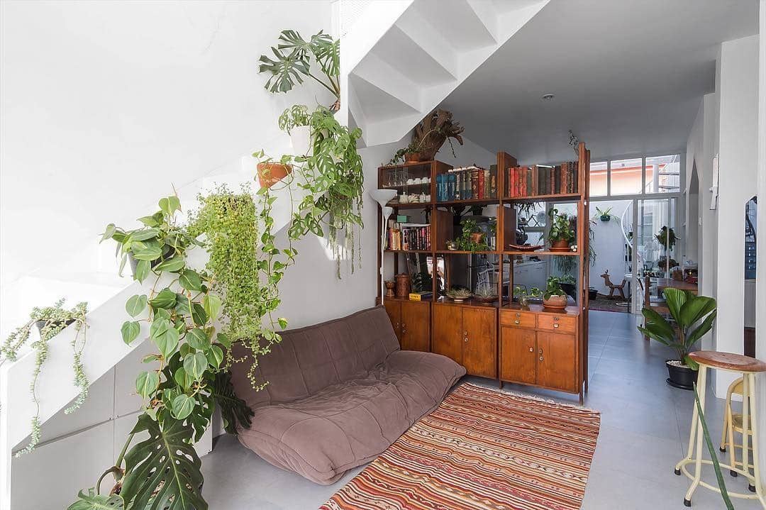 Instagram.com/mondododo