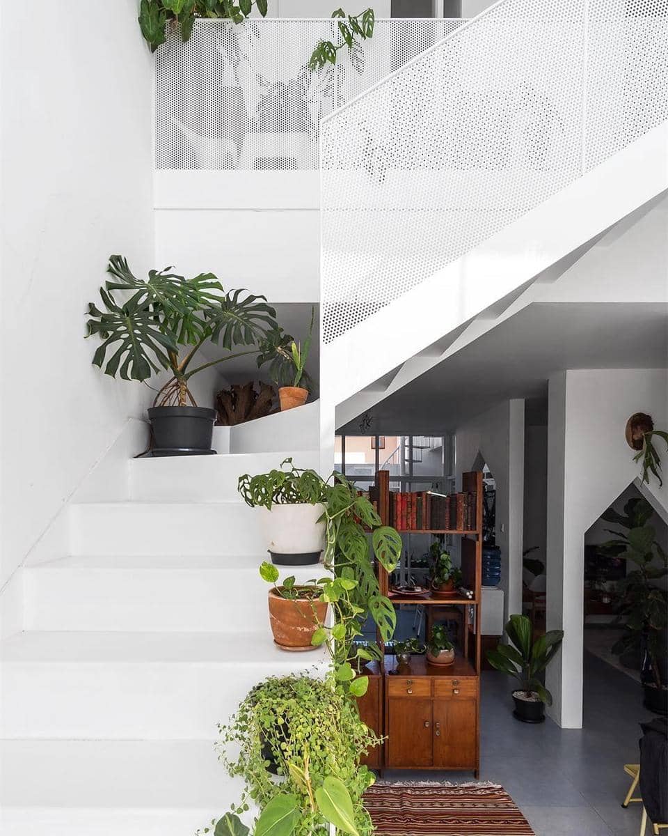 Instagram.com/mondododo