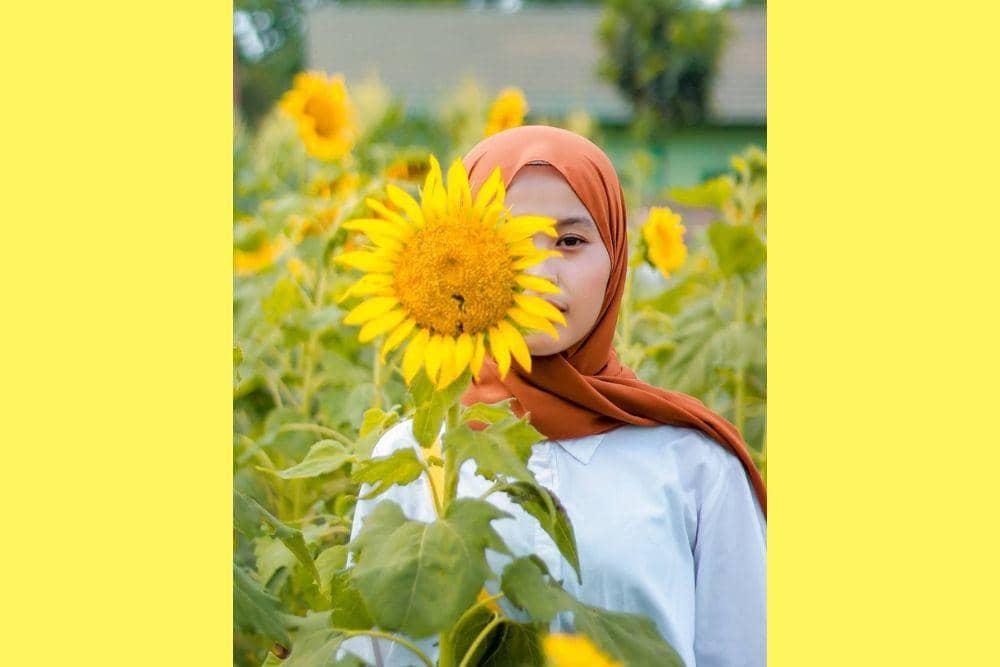 instagram.com/fdijunnigatsu