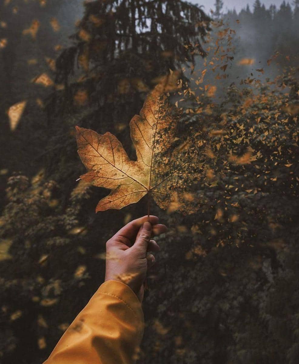 Instagram.com/xmuratakyol