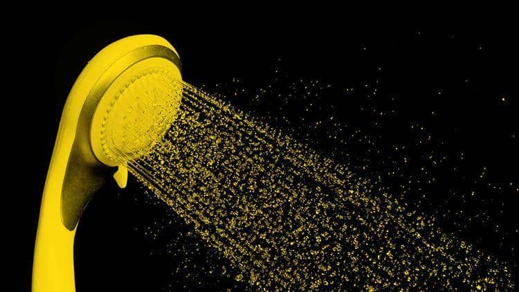 thedailybeast.com/Sarah Rogers