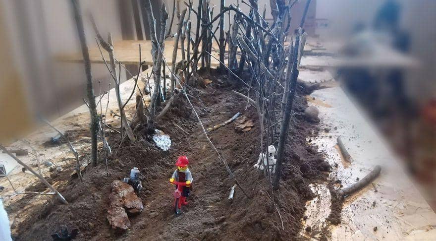 facebook.com/FigsFanPhotos