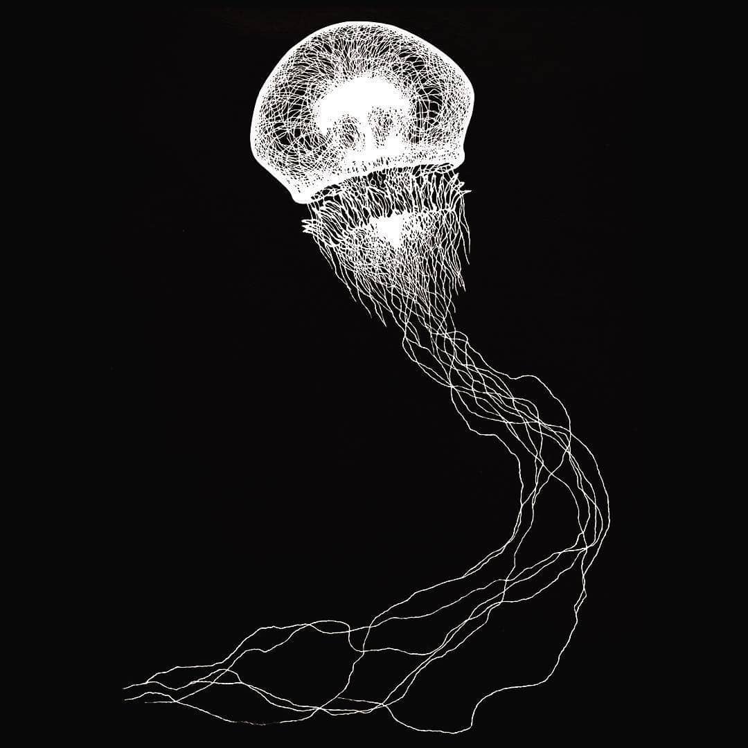 Instagram.com/kiriesousakukamasayo